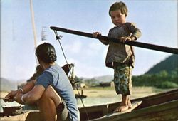 Row The Boat Postcard
