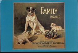 Family Brand Postcard