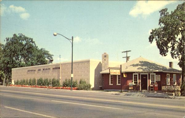 Fireplace Of States And Wildlife Museum Building Bemidji Minnesota