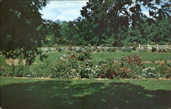 The University Of Minnesota Landscape Arboretum, 3675 Arboretum Drive Chaska, MN Postcard Postcard