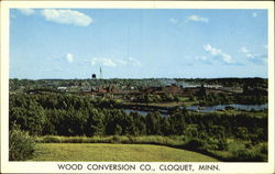 Wood Conversion Co. Cloquet, MN Postcard Postcard