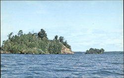 Famous Bald Island Orr, MN Postcard Postcard