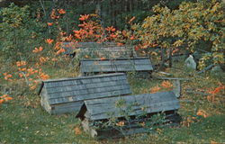 Ojibway Burial Ground Minnesota Native Americana Postcard Postcard