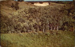 Agassiz Dunes Postcard