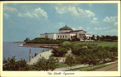 The Shedd Aquarium Postcard