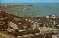 Field Museum Of Natural History Postcard