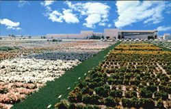 Kishwaukee College Postcard