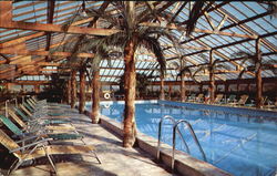 Wagon Wheel Lodge Postcard