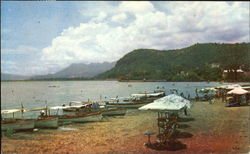 The Beach Of The Chapala Lake Postcard