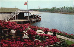 Scene In Bellingrath Gardens Postcard
