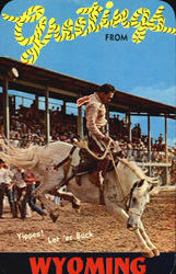 Greetings From Wyoming Rodeos Postcard Postcard
