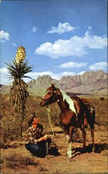 Cowboy Resting Near Yucca Plant Postcard