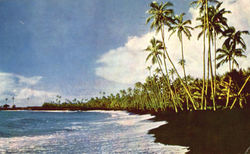 Black Sands Of Kalapana Postcard