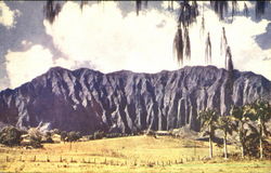 Hawaiian Cliffs Postcard