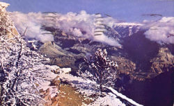 Grand Canyon National Park Postcard