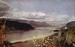 Crown Point On The Columbia River Postcard