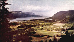 Columbia River Valley Postcard