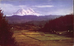 Ohop Valley Mount Rainier, WA Postcard Postcard