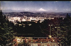 Portland Oregon Postcard Postcard