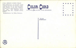 back