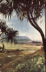 Napali Cliffs Postcard