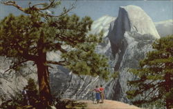 Half Dome Postcard