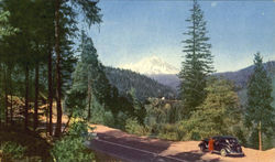 Mt. Shasta Postcard