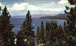 Lake Tahoe Postcard