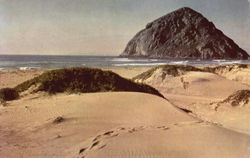 Morro Rock Morro Bay, CA Postcard Postcard