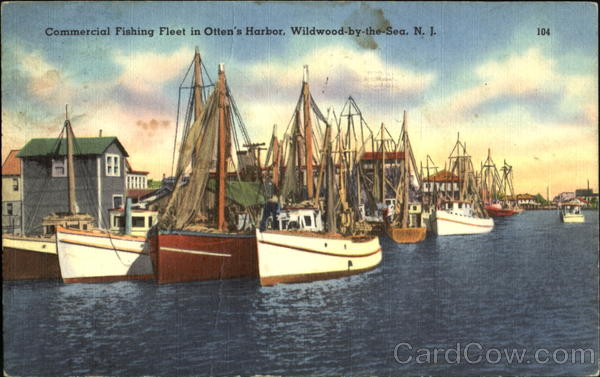 Commercial Fishing Fleet In Otten's Harbor Wildwood New Jersey