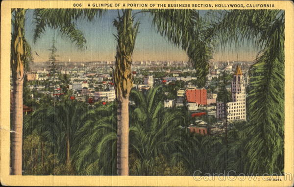 A Glimpse Of A Portion Of The Business Section Hollywood California