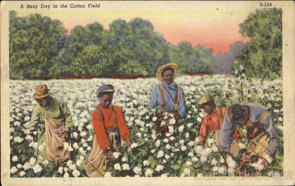 A Busy Day In The Cotton Field Black Americana