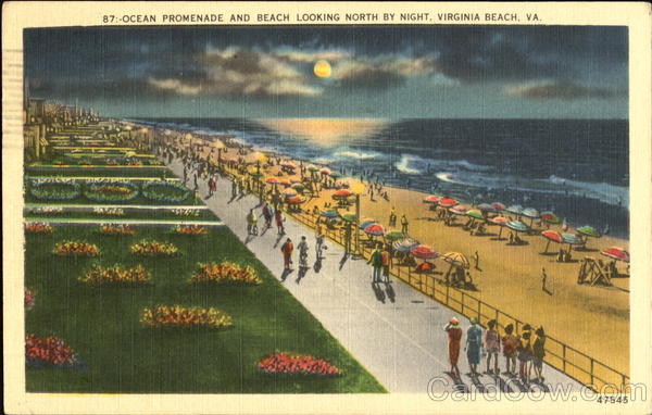 Ocean Promenade And Beach Looking North By Night Virginia Beach
