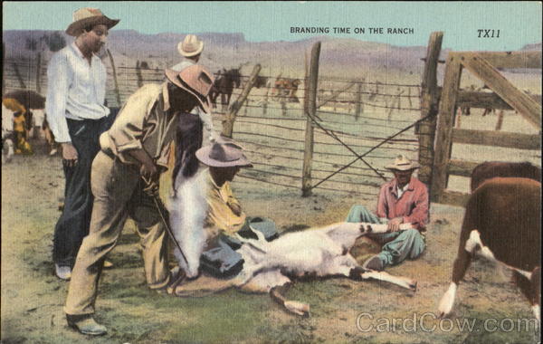 Branding Time On The Ranch Cowboy Western