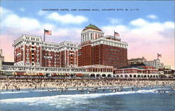 Haddon Hall-Chalfonte Hotels Postcard