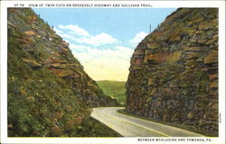 View Of Twin Cuts On Roosevelt Highway And Sullivan Trail Scenic, PA Postcard Postcard