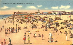 Crowds On The Beach Wildwood, NJ Postcard Postcard