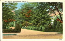 Rumson Road Postcard