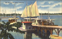 The Picturesque Biloxi Fisheries Scenic, MS Postcard Postcard