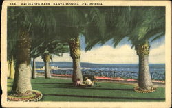 Palisades Park Santa Monica, CA Postcard Postcard