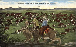 Rounding Up Cattle On Jack Rabbit In The West Postcard