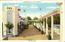 A Promenade At Elitch Gardens Postcard
