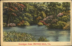 Greetings From Copper Hill Postcard