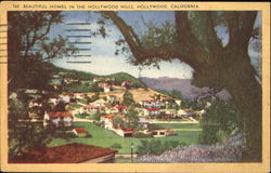 Beautiful Homes In The Hollywood Hills California Postcard Postcard