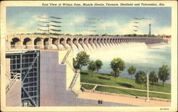 East View Of Wilson Dam Postcard