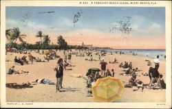 A February Beach Scene Miami Beach, FL Postcard Postcard