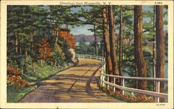 Greetings From Bloomville Postcard