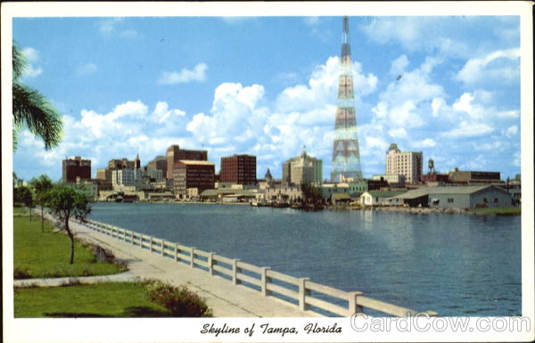 Skyline Of Tampa Florida