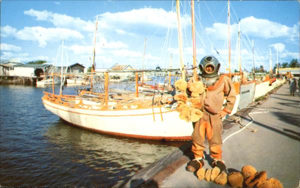 Sponge Driver And Sponge Boats Tarpon Springs Florida