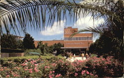 Entrance To Anheuser-Busch's Postcard